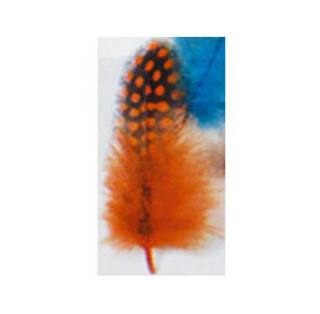 Fliegenbinden Perlhuhn Federn orange