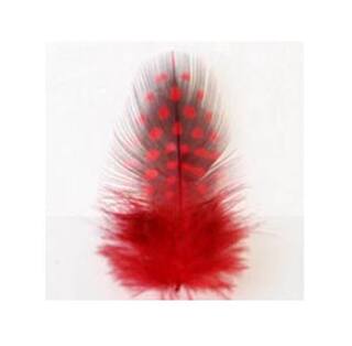 Fliegenbinden Perlhuhn Federn rot