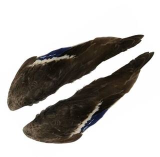 Flgelpaare Stockente