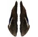 Flgelpaare Stockente