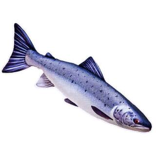 Fisch Dekokissen  Lachs -Gro- 