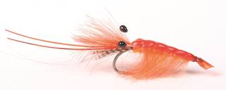 GuideLine Orange CDC Shrimp #6