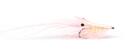 GuideLine Pattegrisen salmon/pink #6  -Meerforellenfliege-