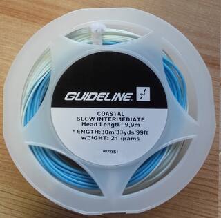 GuideLine Coastal WF Fliegenschnur #9 - 21g