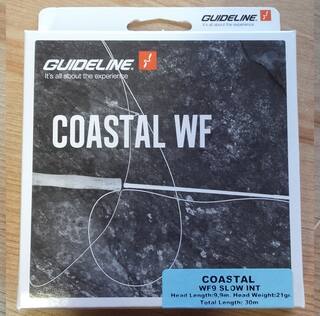 GuideLine Coastal WF Fliegenschnur #9 - 21g