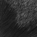 Amerikanisches Winterrehhaar schwarz
