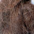 Kaninchen Dubbing braun