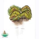 Premium Pfauen-Halsfedern &ndash; Gold