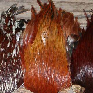 Indische Hahnen Blge weiss - natur