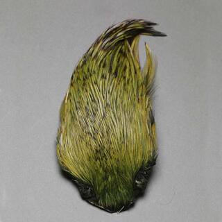 Indische Hahnen Blge olive - gefrbt