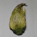 Indische Hahnen Blge olive - gefrbt