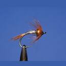 Special - Goldkopf Nymphe