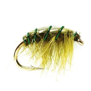 Shrimp olive 10