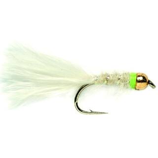 Classic White  - Goldkopf Nymphe