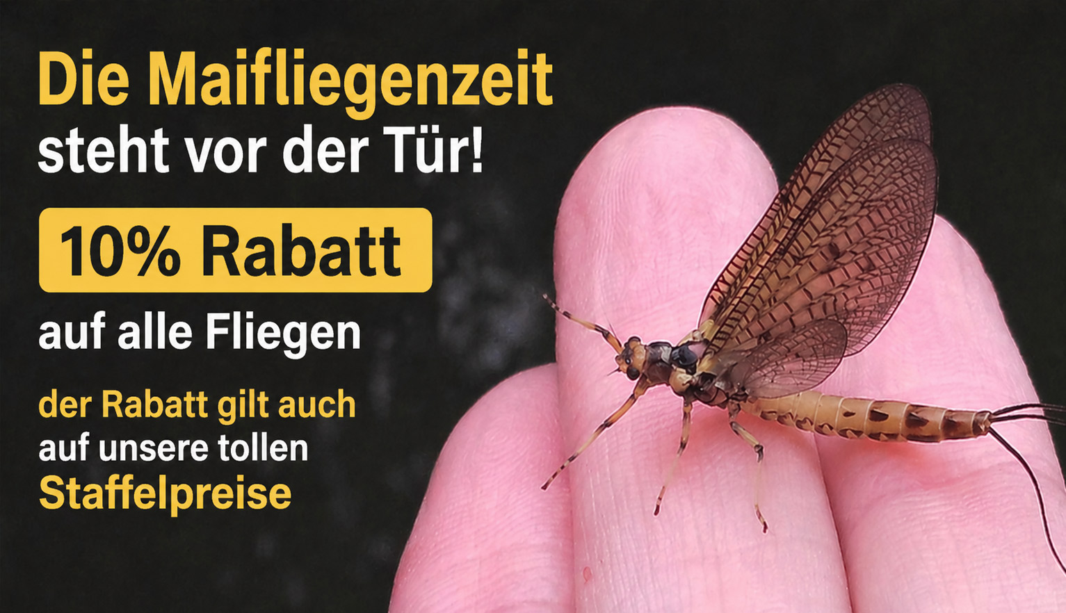 20% Rabatt auf Wulff Fliegenschn�re