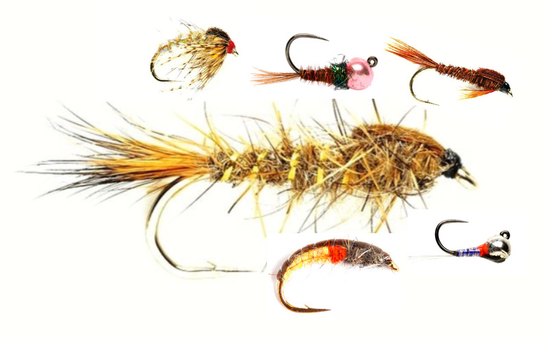 Nymphen-Bindekurs mit Thomas Dürkop Fliegenbindekurs Nymphen – Perdigon, Pheasant Tail, Hares Ear binden lernen