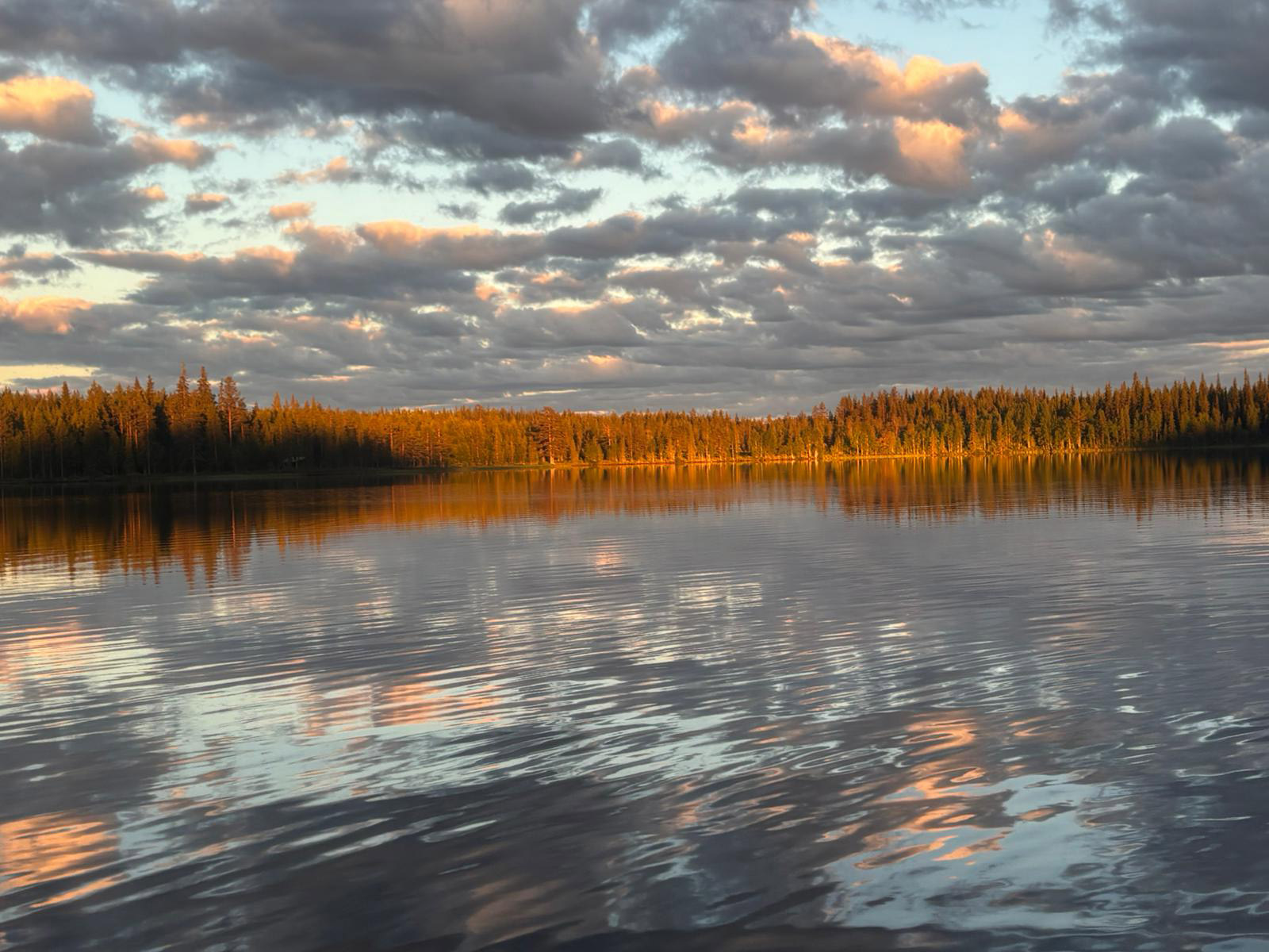 Thomas in Lappland