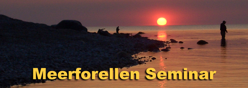 Meerforellen-Seminar an der Küste – Fliegenfischer im Sonnenuntergang